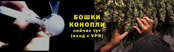 трава Няндома