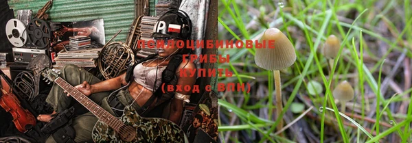 Альфа ПВП Остров