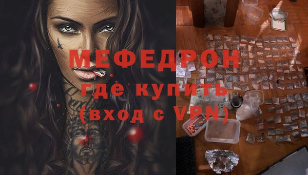 трава Няндома