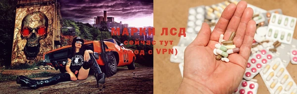 трава Няндома