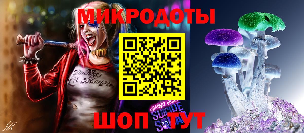 Кингисепп  купить наркотик  Вход с VPN  Псилоцибиновые грибы Psilocybe 